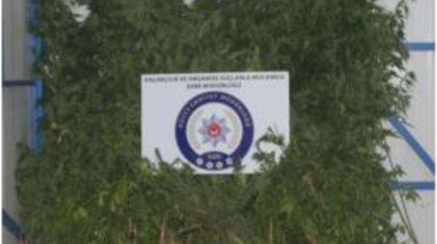 D&uuml;zcede Uyuşturucu Operasyonu