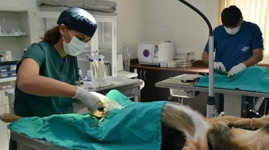 Muhittin B&ouml;cek: T&uuml;rkiye&rsquo;nin En İyisi Olacak