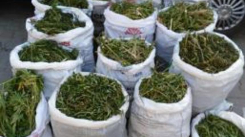 Uşakta 140 Kilogram Esrara 2 Tutuklama