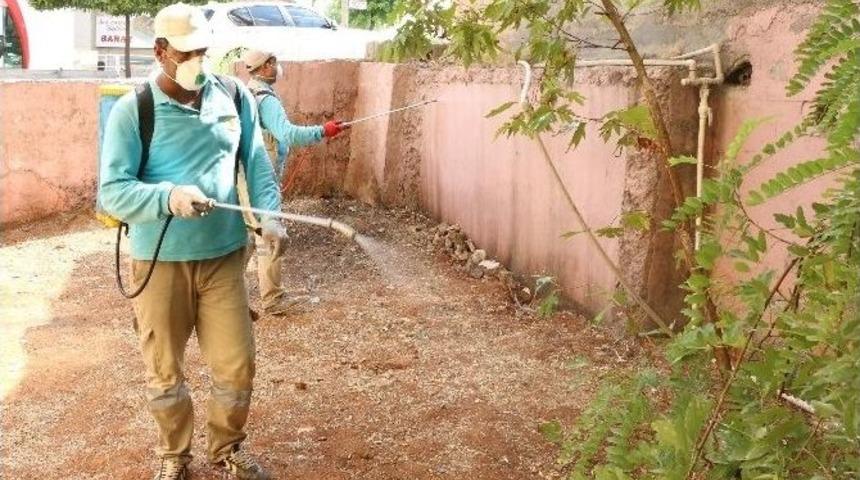 Haliliye&rsquo;de Apartman Bah&ccedil;elerinde Haşere M&uuml;cadelesi