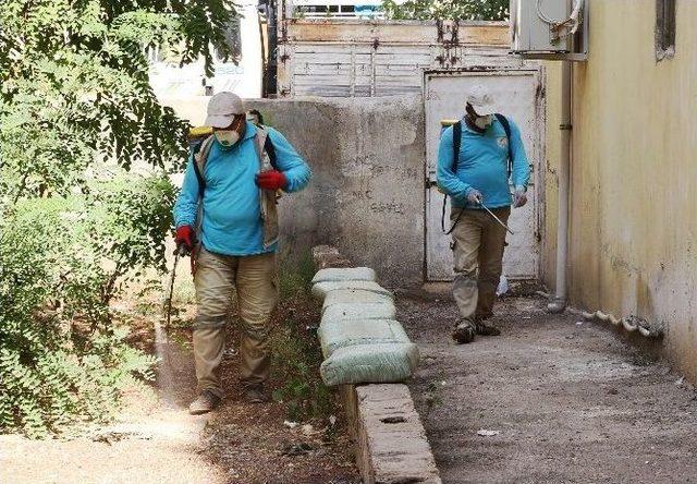 Haliliye&rsquo;de Apartman Bah&ccedil;elerinde Haşere M&uuml;cadelesi 1