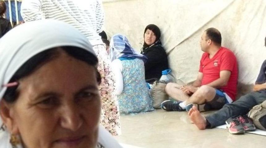 Bodrum Da M&uuml;lteci Sorunu Turizmi Ve Halk Sağlığını Tedirgin Ediyor