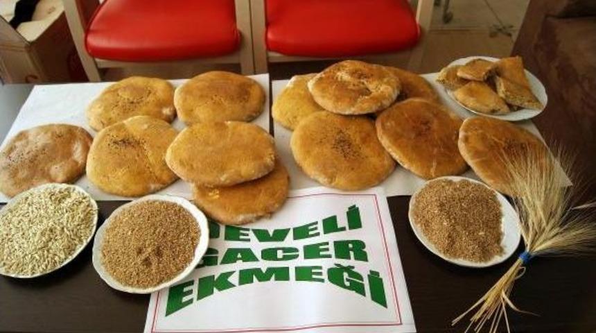 Gacer I&ccedil;in Hazırlanan Proje  I&ccedil;in 350 Bin Tl'lik Kaynak Aranıyor