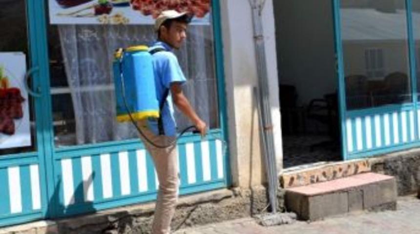 Karasineklere Karşı İla&ccedil;lama &Ccedil;alışması Yapılıyor