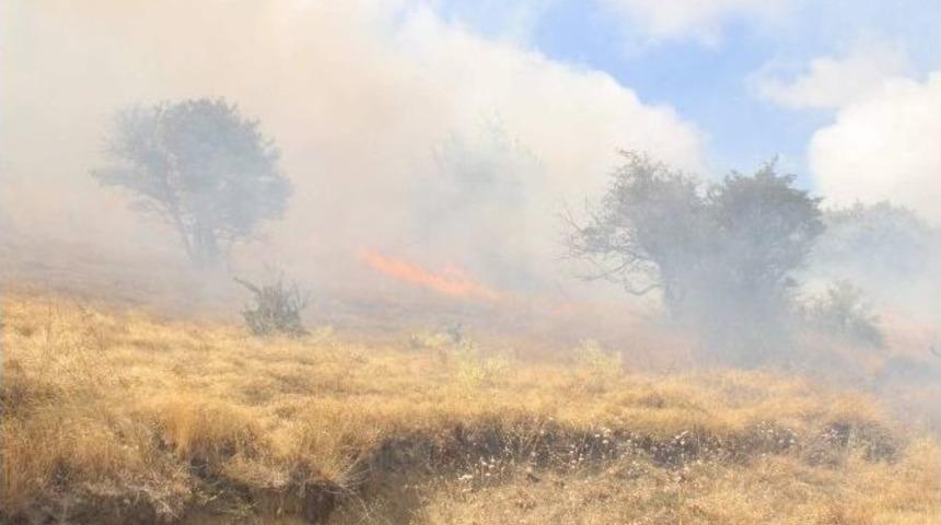 Yozgat Nohutlu Tepesi Yine Yandı