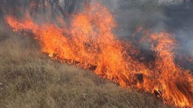 Yozgat Nohutlu Tepesi Yine Yandı