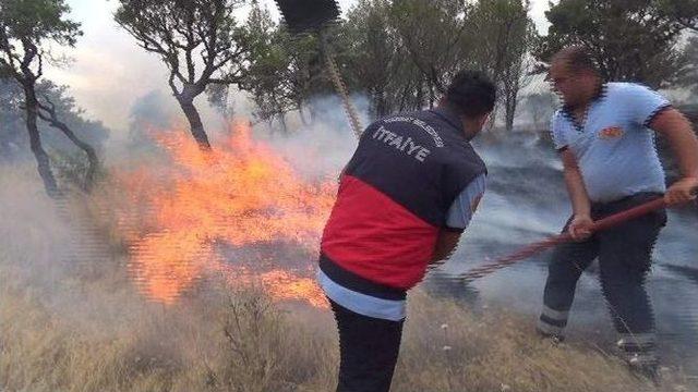 Yozgat Nohutlu Tepesi Yine Yandı