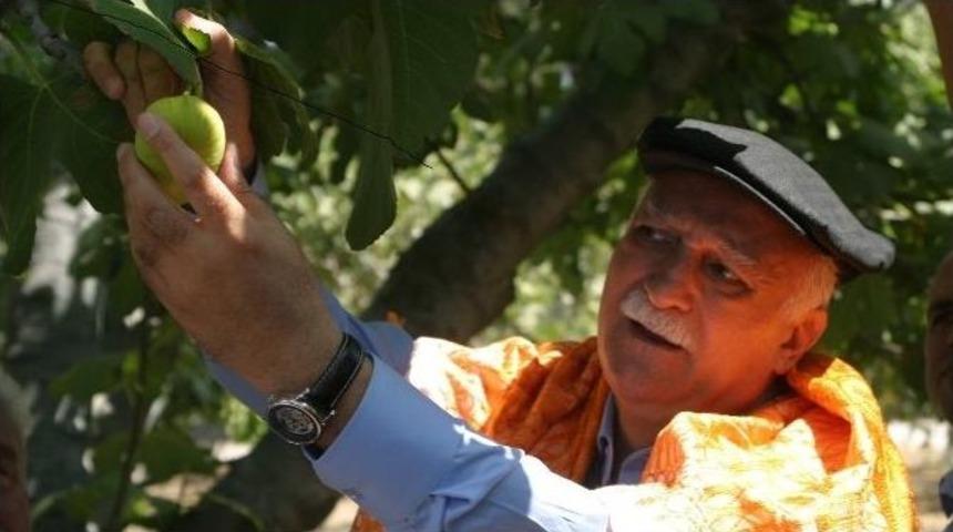 Tzob Genel Başkanı Bayraktar, İncirciyi Umutlandırdı