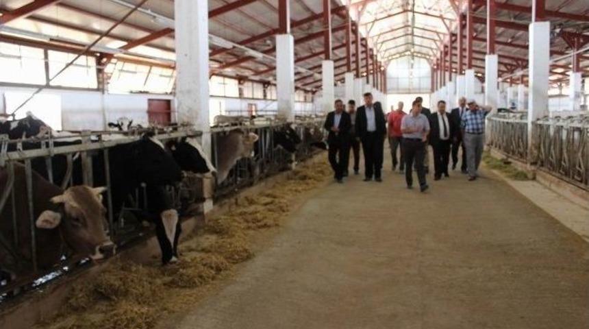 Ziraat Odası Koordinasyon Toplantısı Yıldızeli&rsquo;nde Yapıldı