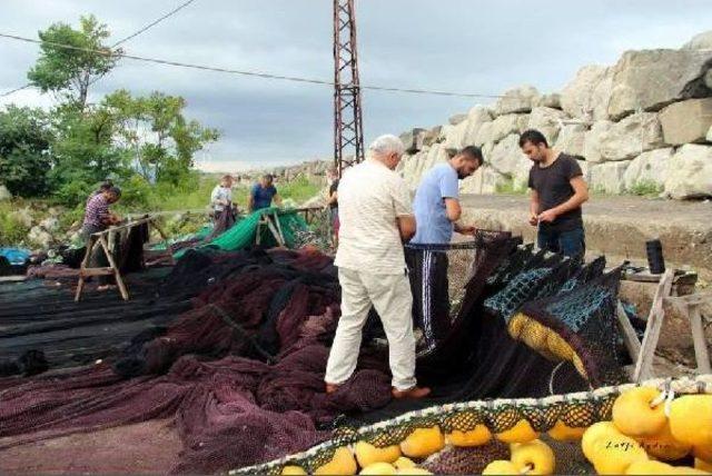 Prof. Dr. Balık: Denizlerde Avlanan Balık 25 Yılda Yarı Yarıya Azaldı