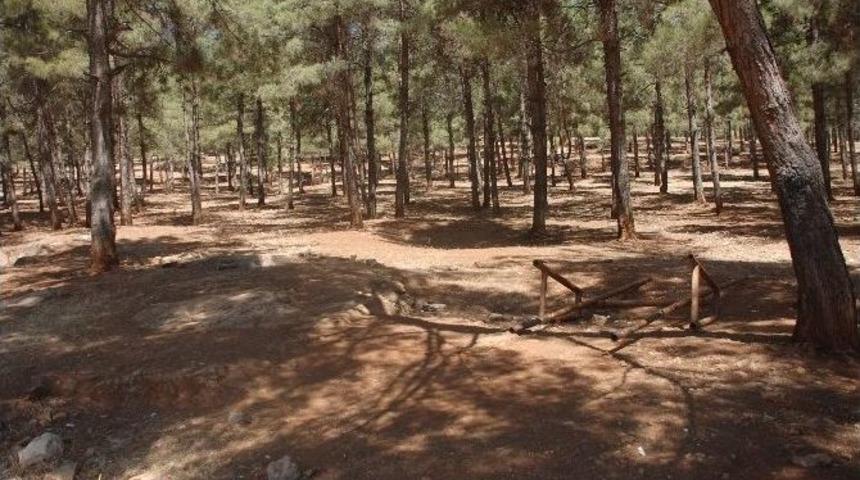 Mesire Alanı Bakım Bekliyor