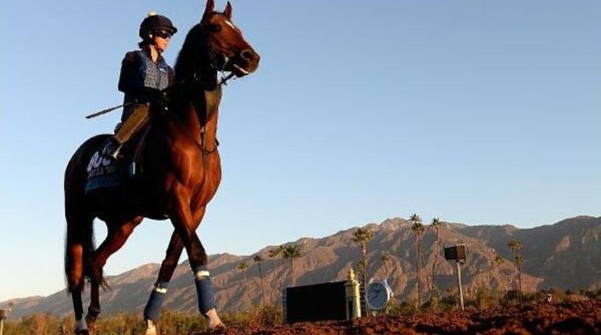 Uluslararası Yarış Festivali Heyecanı Başlıyor