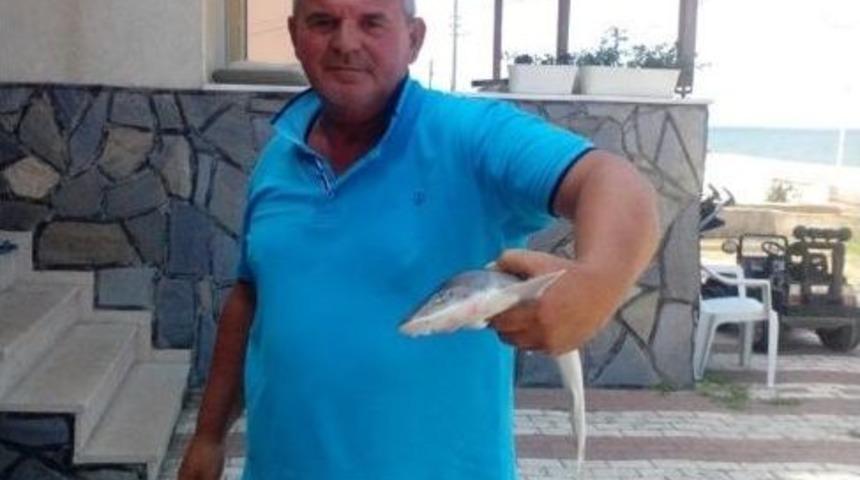 Oltayla K&ouml;pek Balığı Yakaladı