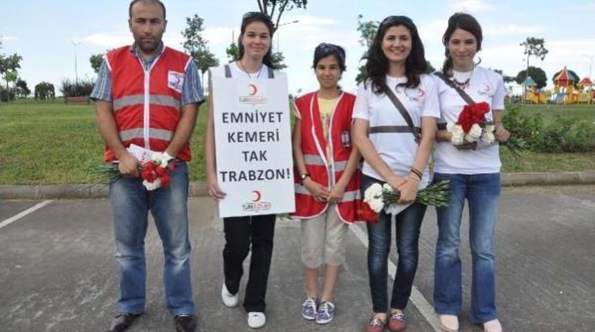 Emniyet Kemeri Takan S&uuml;r&uuml;c&uuml;lere Karanfil