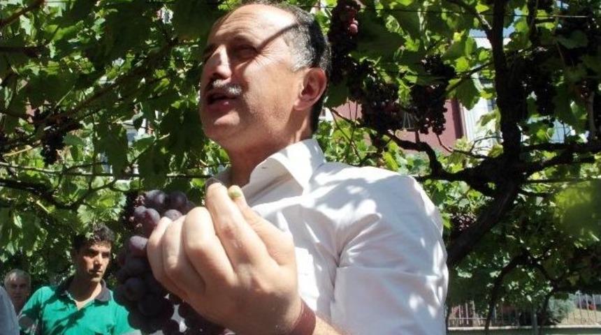 Bağcılar&rsquo;da Vatandaş &Uuml;z&uuml;me Doydu