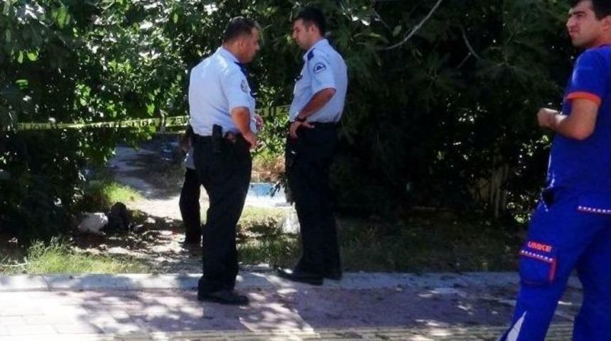 İncir Toplamak İsterken Canından Oldu