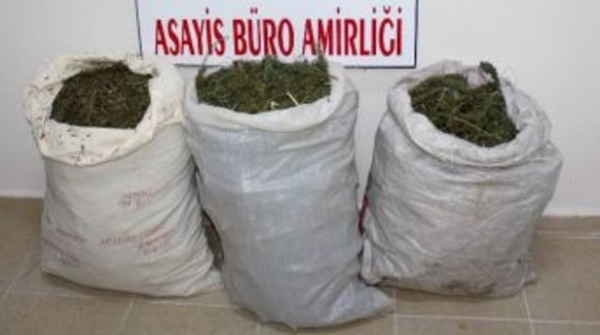 Karacabey Polisinden Uyuşturucu Satıcılarına Darbe