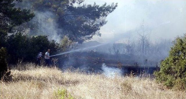 Antalya’da 5 Dönümlük Orman Alanı Yandı