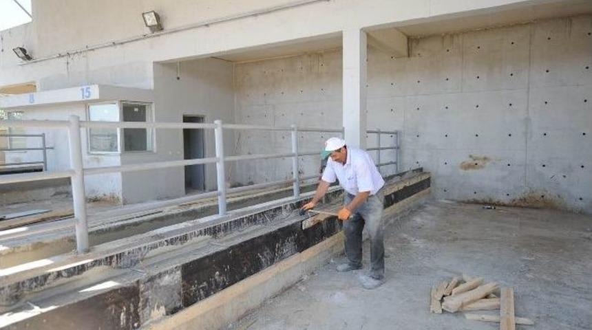 Kurban Satış Ve Kesim Merkezi Bayrama Hazırlanıyor