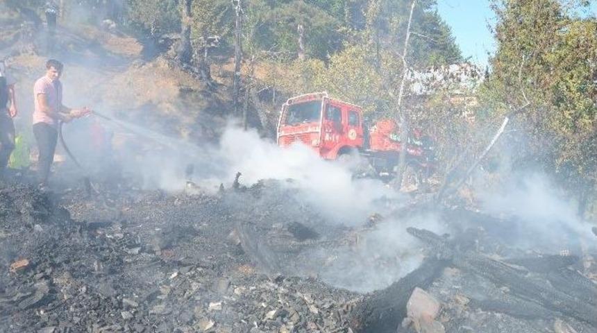 Ke&ccedil;ilerini Kurtarmak İsterken Yanarak &Ouml;ld&uuml;