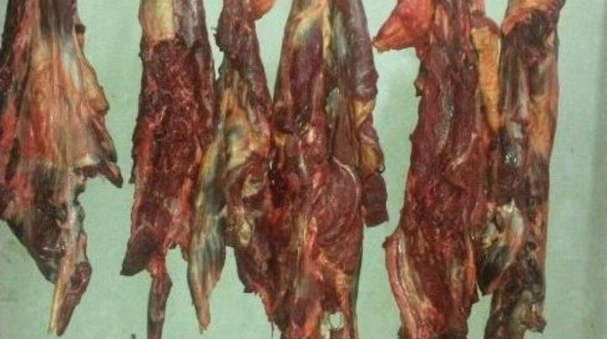 Bursa&rsquo;da At Eti Operasyonu