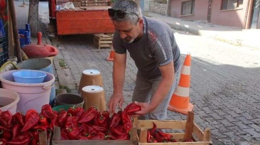 Sal&ccedil;a Sezonu A&ccedil;ıldı