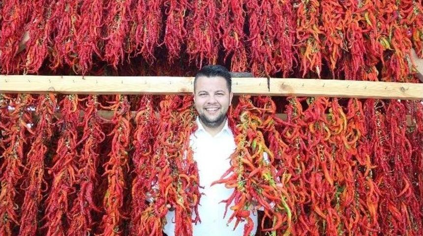 Tava Ciğerin Kardeşi &lsquo;karaağa&ccedil; Sivrisi&rsquo; G&uuml;neşi G&ouml;rd&uuml;