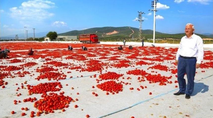 İşsiz Gen&ccedil;ler Bu İl&ccedil;eye Koşuyor
