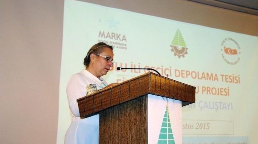 Bolu&rsquo;da Ge&ccedil;ici Depolama Tesisi &Ccedil;alıştayı Yapıldı