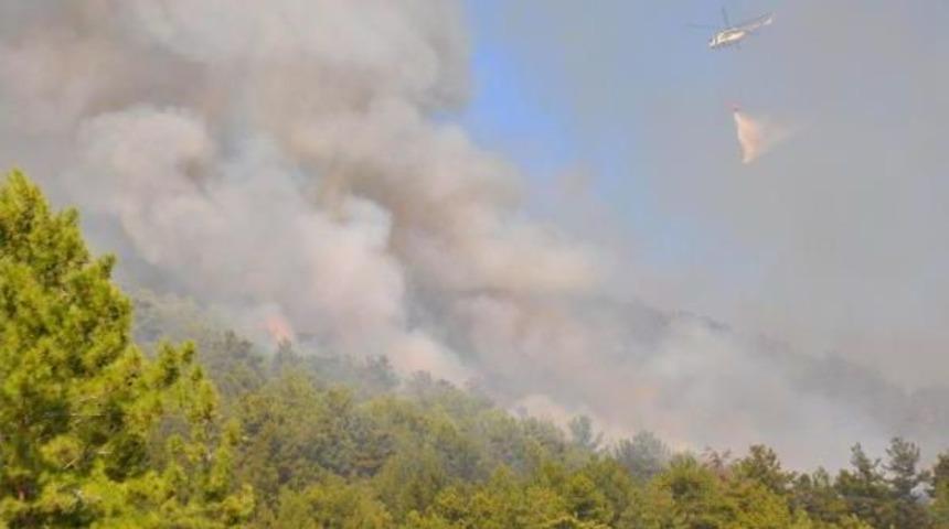 Manavgat'ta Orman Yangını (2) -  Yeniden