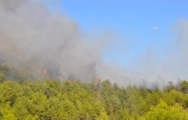 Manavgat'ta Orman Yangını (2) -  Yeniden