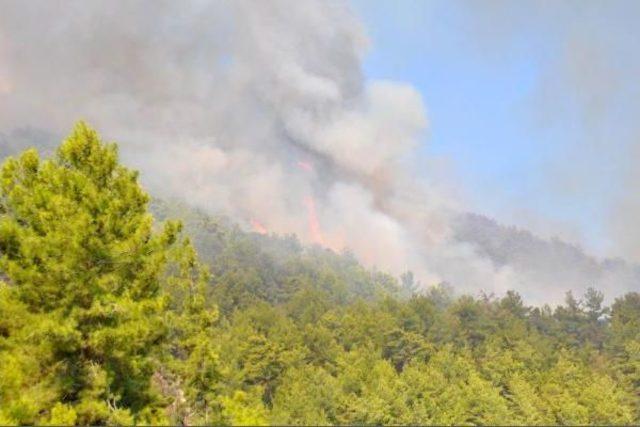Manavgat'ta Orman Yangını (2) -  Yeniden