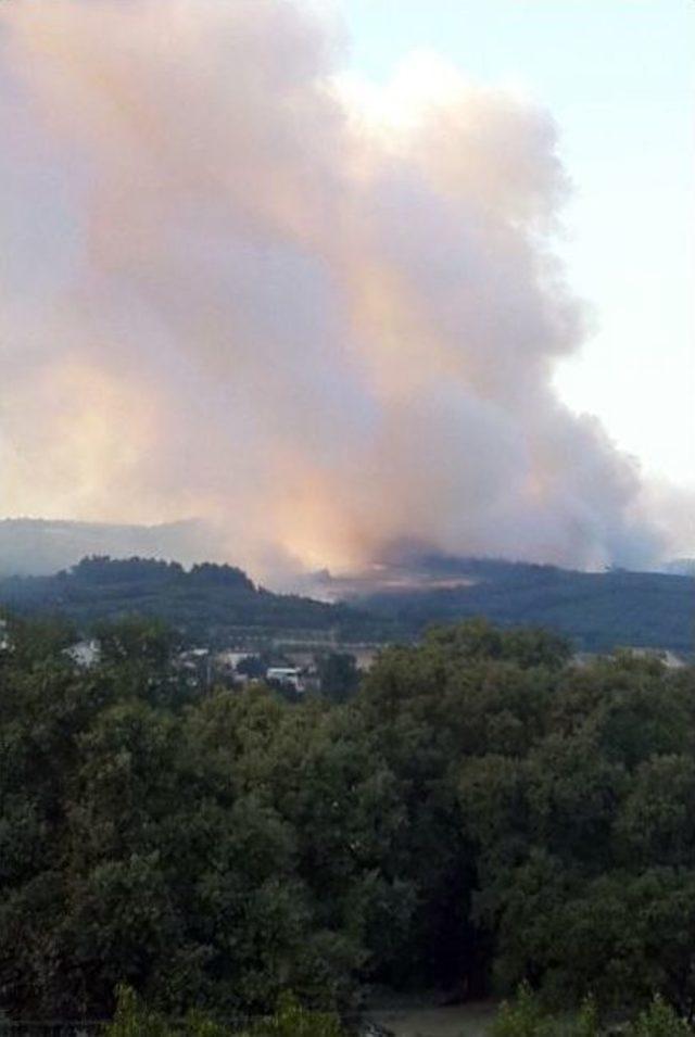 Bursa’da Orman Yangını (1)