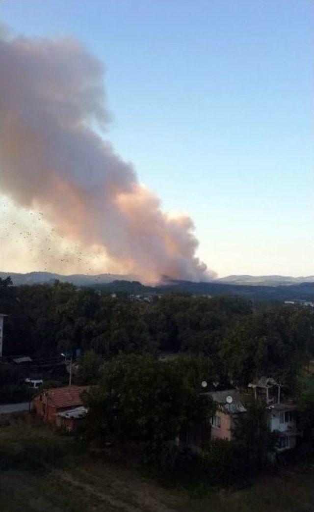 Bursa’da Orman Yangını (1)