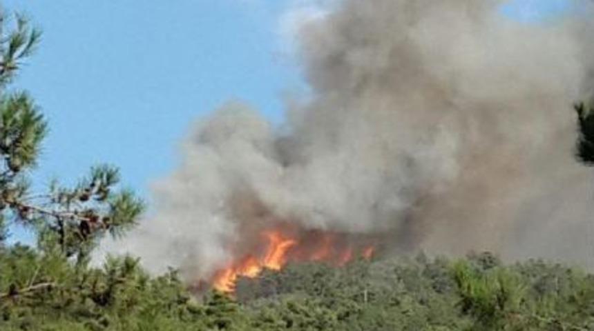 &Ccedil;orum'da Orman Yangını Kontrol Altına Alınamıyor