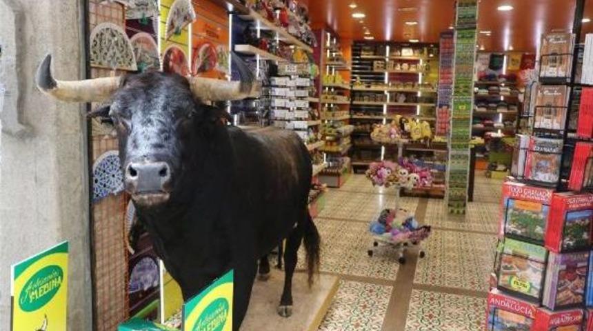 Başarılı Olan &Ouml;ğrencilere Okul &Ouml;ncesi Avrupa Tatili