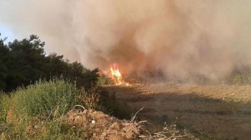 Buras'da Orman Yangını (2)