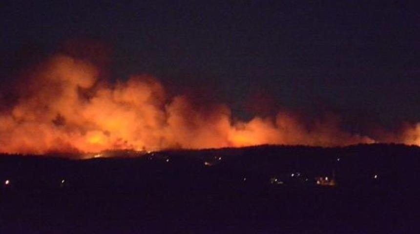 Bursa'da Orman Yangını (4)