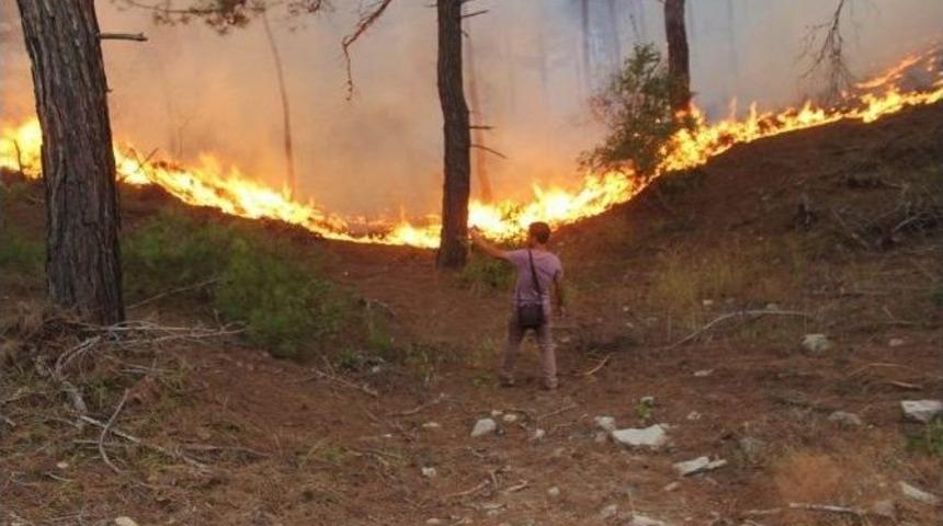 Osmaniye’de Orman Yangını