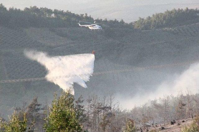 Bursa’daki Orman Yangını Tamamen Söndürüldü