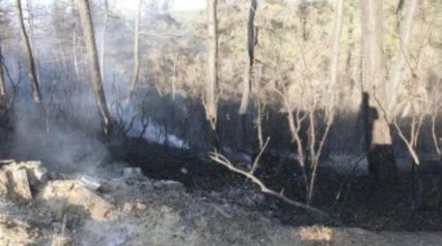 Bursa&rsquo;daki Orman Yangını Kontrol Altına Alındı