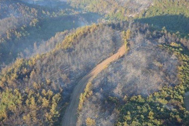 Bursa’Da Korkutan Orman Yangını 50 Hektar Alana Zarar Verdi - Ek Fotoğraf