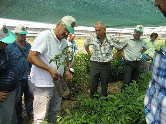 Gönen’de Üreticiye Uygulamalı Eğitim Ve Brifing Verildi