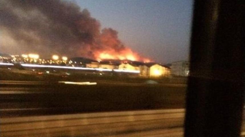 Bursa&rsquo;Da Korkutan Orman Yangını 50 Hektar Alana Zarar Verdi (2)