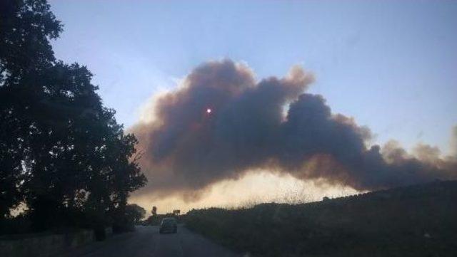 Bursa’Da Korkutan Orman Yangını 50 Hektar Alana Zarar Verdi (2)