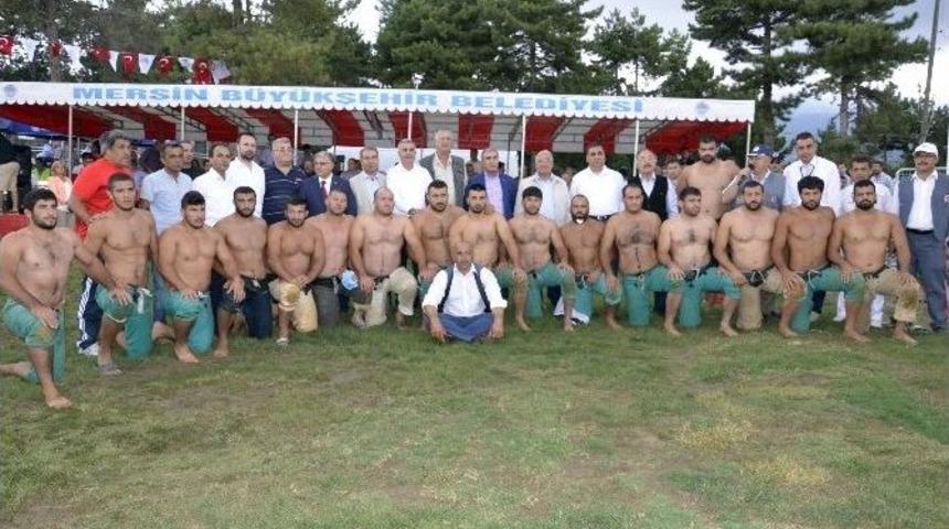 &Ccedil;amlıyayla&rsquo;da Karakucak G&uuml;reşleri