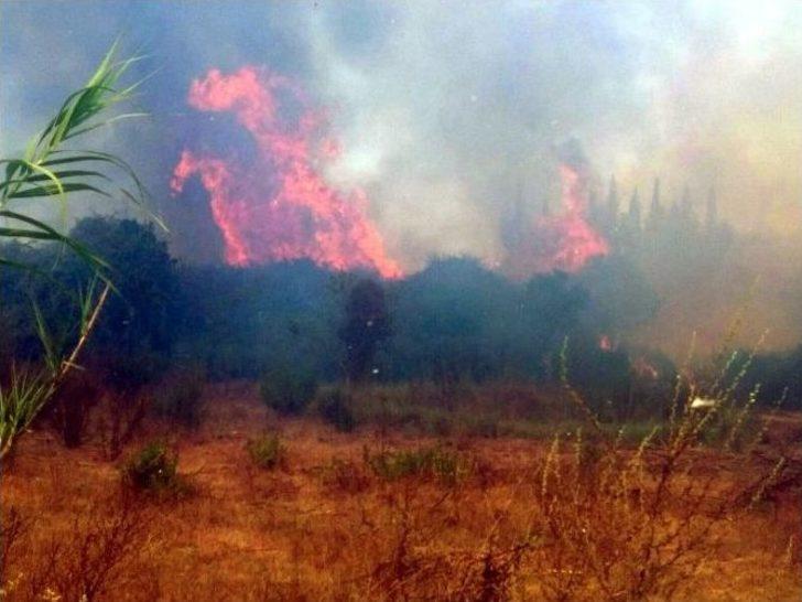 Antalya’da Tarım Arazisinde Yangın