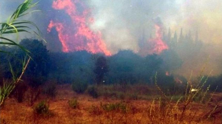 Antalya&rsquo;da Tarım Arazisinde Yangın