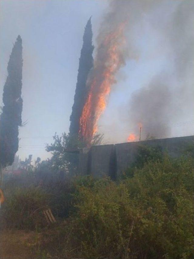 Antalya’da Tarım Arazisinde Yangın