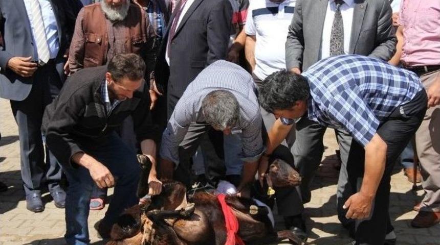 K&ouml;yl&uuml;leri Altınok&rsquo;un Başarısı İ&ccedil;in Dua Etti